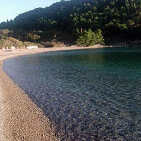 Petrovac Apartments & Rooms M מראה חיצוני תמונה
