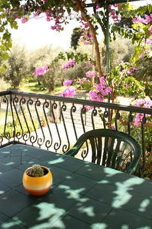 Petrovac Apartments & Rooms M מראה חיצוני תמונה